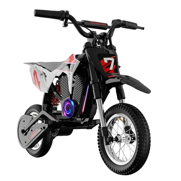 Moto électrique 300W 36V 5.2AH
