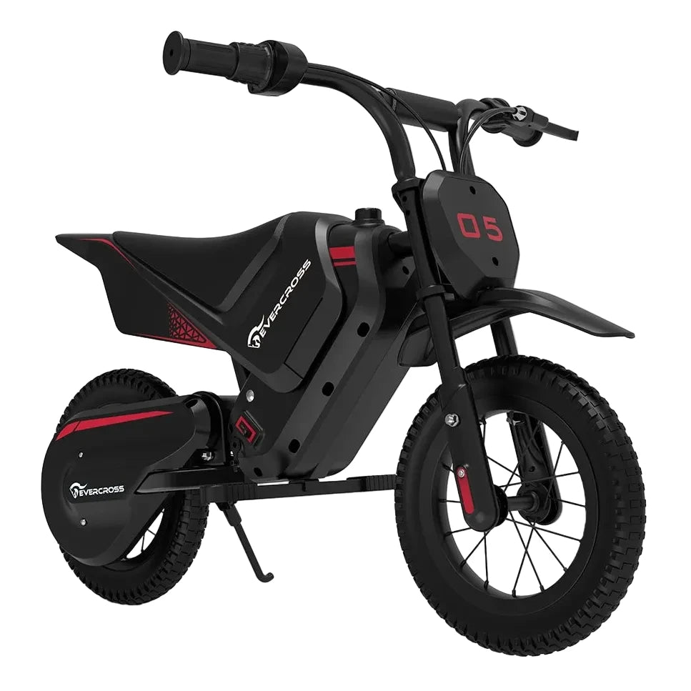 Moto électrique 150W 14.4 5.2AH