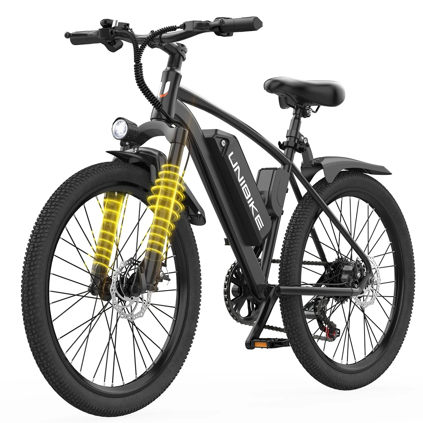 Vélo électrique 250W 36 V10AH